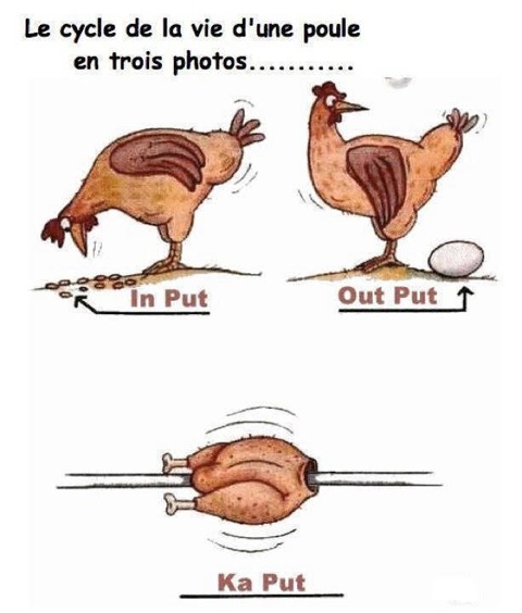 La poule